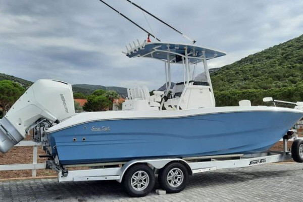 2021 Sea Cat 260 Hybrid Catamaran