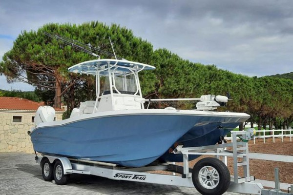 2021 Sea Cat 260 Hybrid Catamaran