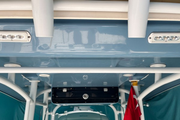 2021 Sea Cat 260 Hybrid Catamaran