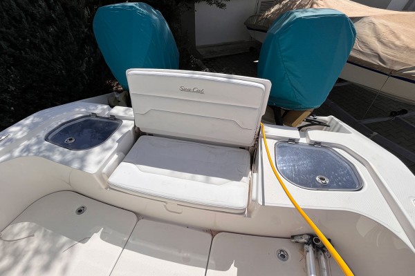 2021 Sea Cat 260 Hybrid Catamaran