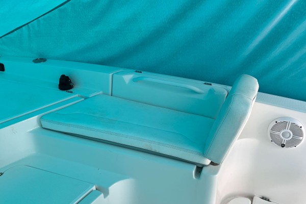 2021 Sea Cat 260 Hybrid Catamaran