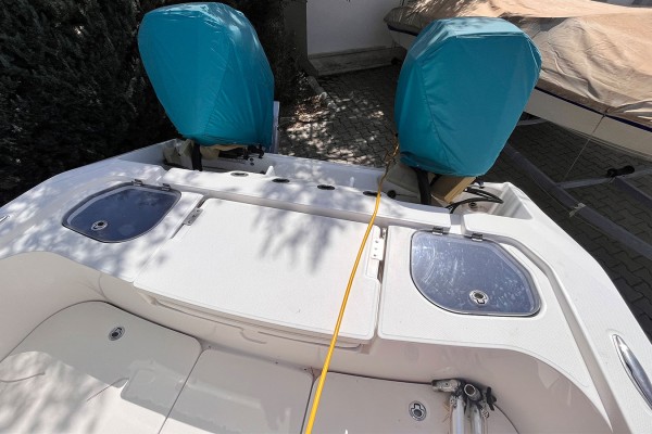 2021 Sea Cat 260 Hybrid Catamaran