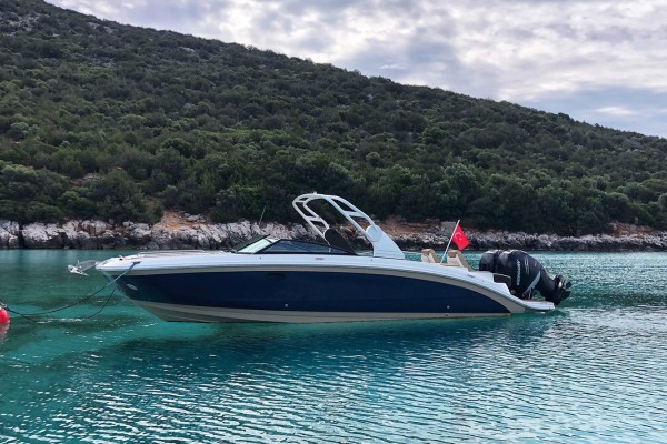 2018 Sea Ray SDX 290 Outboard