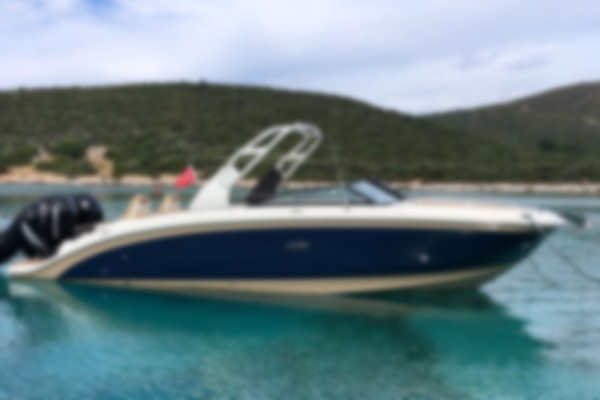 2018 Sea Ray SDX 290 Outboard